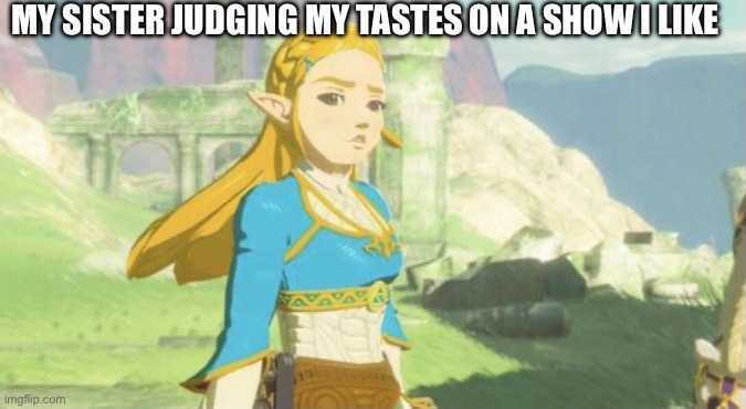 Shut up | MY SISTER JUDGING MY TASTES ON A SHOW I LIKE | image tagged in judging zelda | made w/ Imgflip meme maker