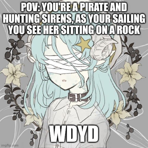 Normal rules apply. It can be romance if you want, but if so make ocs. | POV: YOU'RE A PIRATE AND HUNTING SIRENS, AS YOUR SAILING YOU SEE HER SITTING ON A ROCK; WDYD | image tagged in roleplaying | made w/ Imgflip meme maker