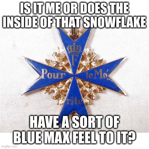 IS IT ME OR DOES THE INSIDE OF THAT SNOWFLAKE HAVE A SORT OF BLUE MAX FEEL TO IT? | made w/ Imgflip meme maker