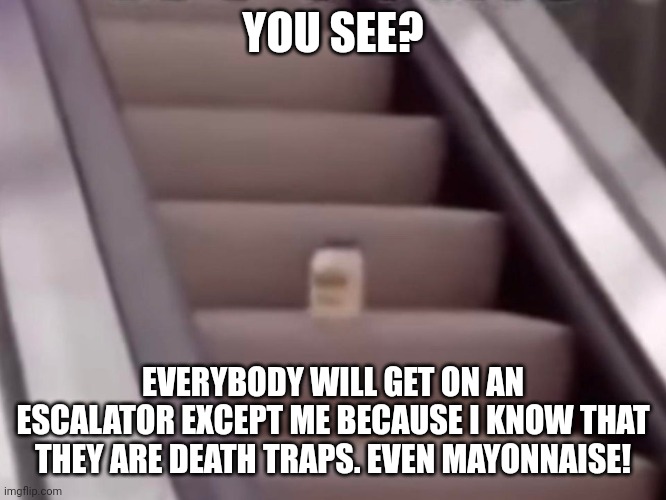 You win this round, escalator menace! | YOU SEE? EVERYBODY WILL GET ON AN ESCALATOR EXCEPT ME BECAUSE I KNOW THAT THEY ARE DEATH TRAPS. EVEN MAYONNAISE! | image tagged in mayonnaise on an escalator | made w/ Imgflip meme maker