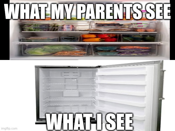 Very accurate | WHAT MY PARENTS SEE; WHAT I SEE | image tagged in fridge | made w/ Imgflip meme maker