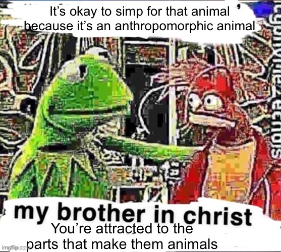 Why wouldn’t you just simp for humans if anthro was the main factor | It’s okay to simp for that animal because it’s an anthropomorphic animal; You’re attracted to the parts that make them animals | image tagged in my brother in christ | made w/ Imgflip meme maker