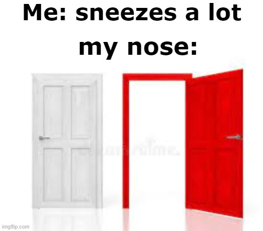 my nose be like: | Me: sneezes a lot; my nose: | image tagged in blank white template,so true meme,blocked nostril | made w/ Imgflip meme maker