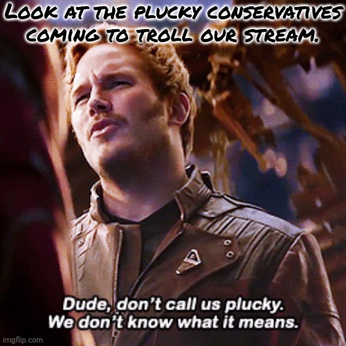 Sorry, little snowflake. | Look at the plucky conservatives coming to troll our stream. | image tagged in we don't know what it means | made w/ Imgflip meme maker