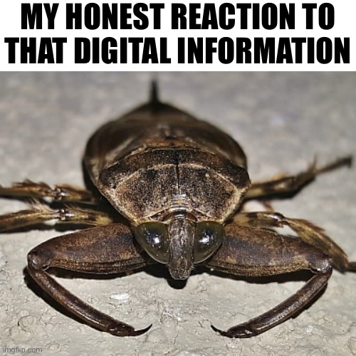 MY HONEST REACTION TO THAT DIGITAL INFORMATION | made w/ Imgflip meme maker