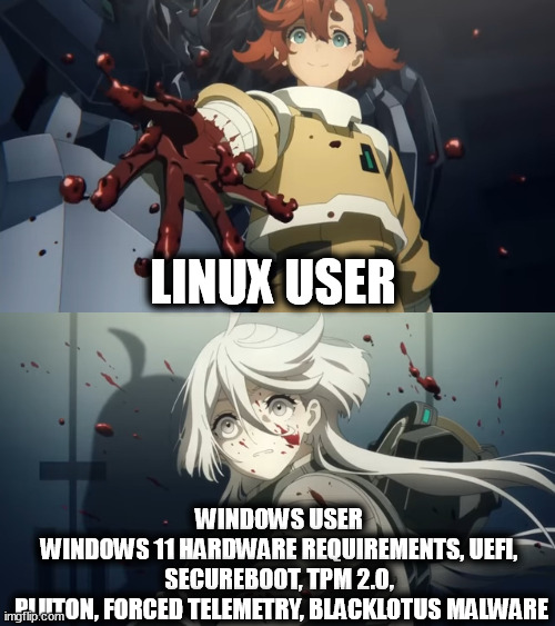 Linux Users Helping Windows Users | LINUX USER; WINDOWS USER
WINDOWS 11 HARDWARE REQUIREMENTS, UEFI, SECUREBOOT, TPM 2.0,
 PLUTON, FORCED TELEMETRY, BLACKLOTUS MALWARE | image tagged in memes,microsoft,windows,windows 11,linux | made w/ Imgflip meme maker