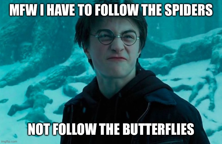 MFW I have to follow spiders | MFW I HAVE TO FOLLOW THE SPIDERS; NOT FOLLOW THE BUTTERFLIES | image tagged in harry potter | made w/ Imgflip meme maker