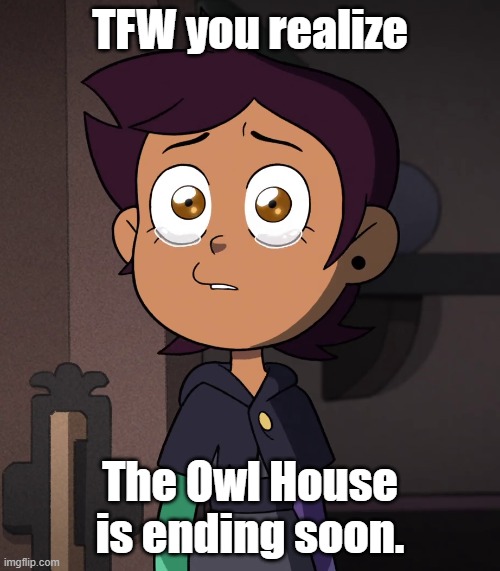 In Two Weeks, It Ends | TFW you realize; The Owl House is ending soon. | image tagged in the owl house | made w/ Imgflip meme maker