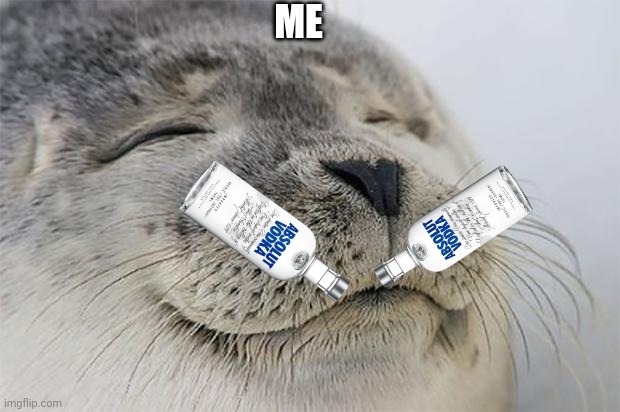 Водка | ME | image tagged in memes,satisfied seal | made w/ Imgflip meme maker