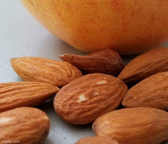 Almonds | image tagged in almonds | made w/ Imgflip meme maker