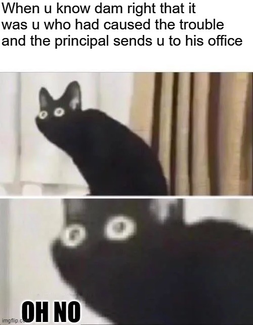 Oh No Black Cat | When u know dam right that it was u who had caused the trouble and the principal sends u to his office; OH NO | image tagged in oh no black cat | made w/ Imgflip meme maker
