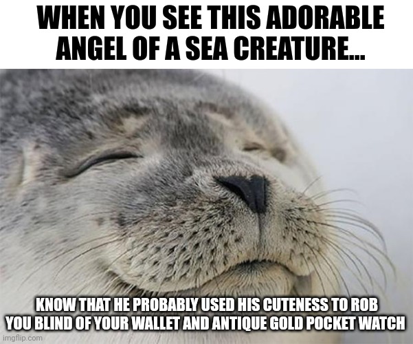 Those darn sea potatoes! Always robbing people with their cute cuteness | WHEN YOU SEE THIS ADORABLE ANGEL OF A SEA CREATURE... KNOW THAT HE PROBABLY USED HIS CUTENESS TO ROB YOU BLIND OF YOUR WALLET AND ANTIQUE GOLD POCKET WATCH | image tagged in memes,satisfied seal | made w/ Imgflip meme maker
