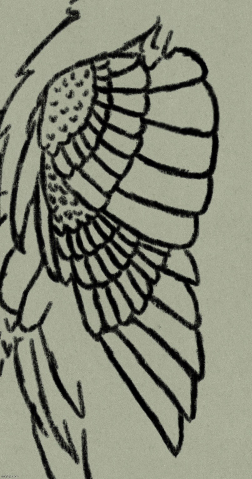 Feather detail for large project | made w/ Imgflip meme maker
