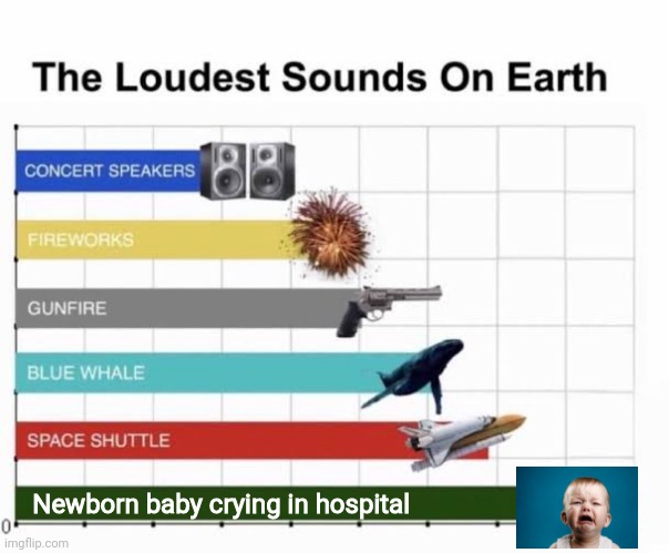 Crying newborns in a hospital is the most irritating sound to hear at a hospital | Newborn baby crying in hospital | image tagged in the loudest sounds on earth,so true memes,funny,babies,hospital | made w/ Imgflip meme maker