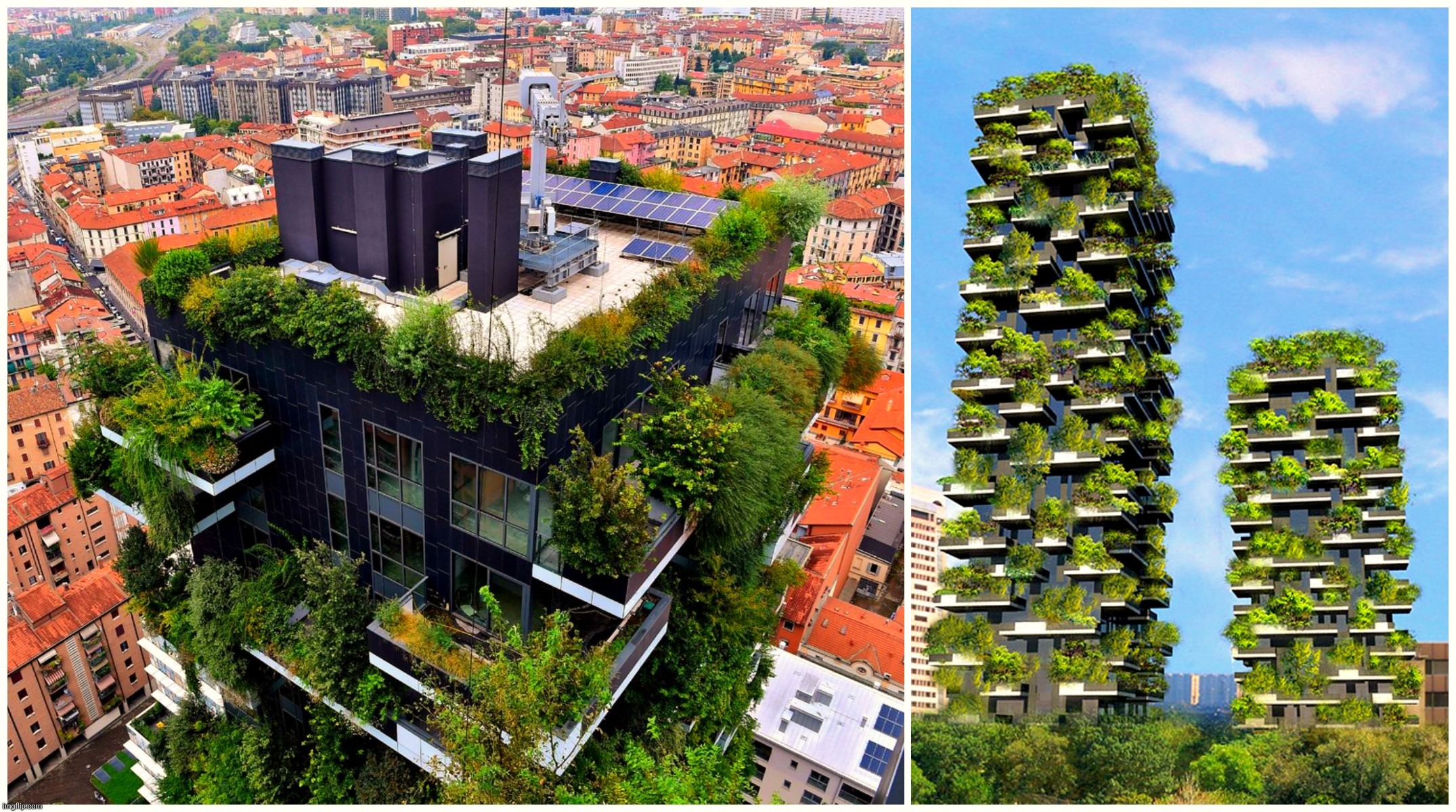 Milan Green buildings | image tagged in milan,green buildings | made w/ Imgflip meme maker