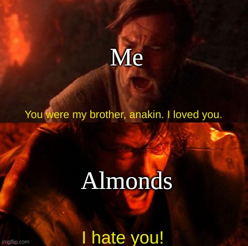 anakin and obi wan | You were my brother, anakin. I loved you. I hate you! Me Almonds | image tagged in anakin and obi wan | made w/ Imgflip meme maker