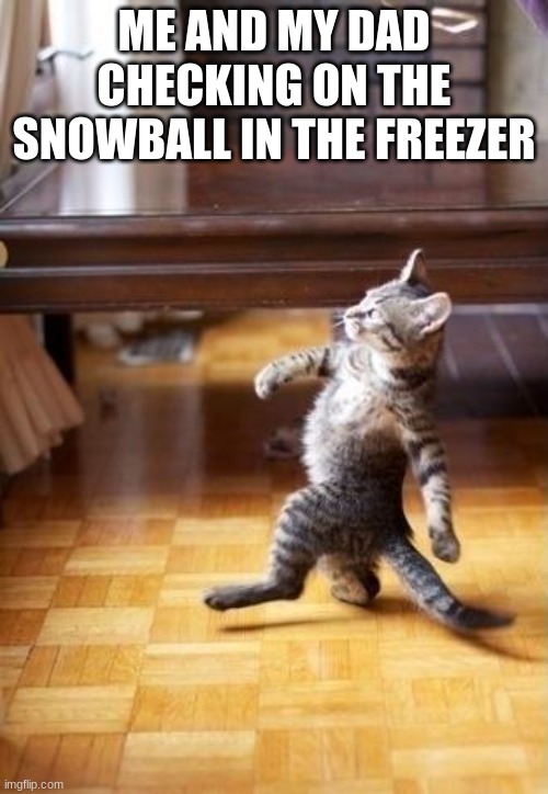 Cool Cat Stroll | ME AND MY DAD CHECKING ON THE SNOWBALL IN THE FREEZER | image tagged in memes,cool cat stroll | made w/ Imgflip meme maker