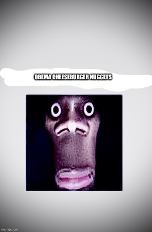 Obema cheeseburger nuggets | OBEMA CHEESEBURGER NUGGETS | image tagged in look behind you,memes | made w/ Imgflip meme maker