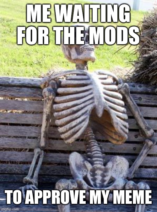 Why does it always take so long | ME WAITING FOR THE MODS; TO APPROVE MY MEME | image tagged in memes,waiting skeleton,imgflip,funny,thisimagehasalotoftags | made w/ Imgflip meme maker