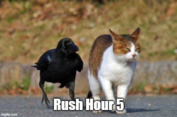 rush hour 5 | Rush Hour 5 | image tagged in raven following cat,cats,crow,rush hour | made w/ Imgflip meme maker