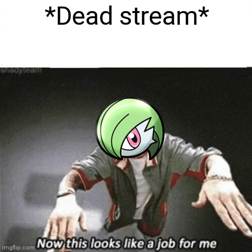 Now this looks like a job for me | *Dead stream* | image tagged in now this looks like a job for me | made w/ Imgflip meme maker