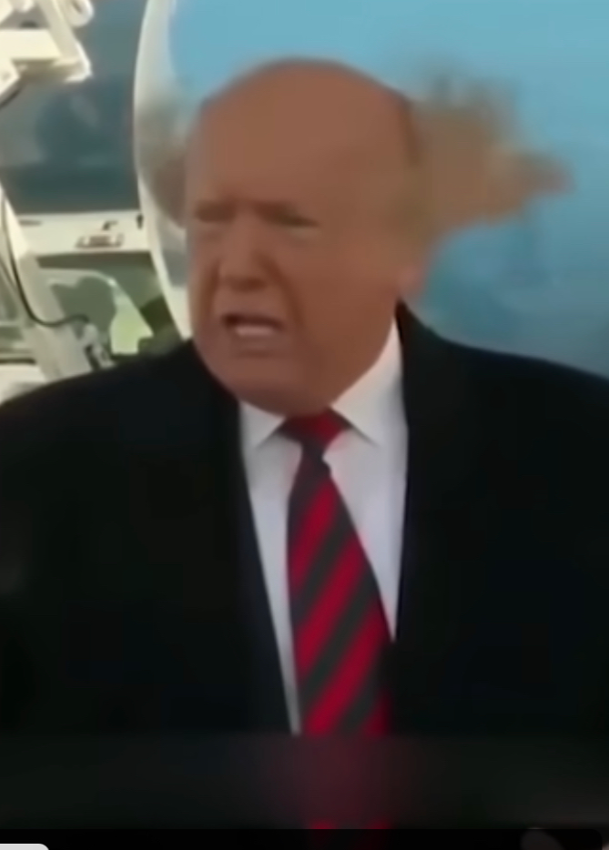 High Quality Trump’s messy hair Blank Meme Template