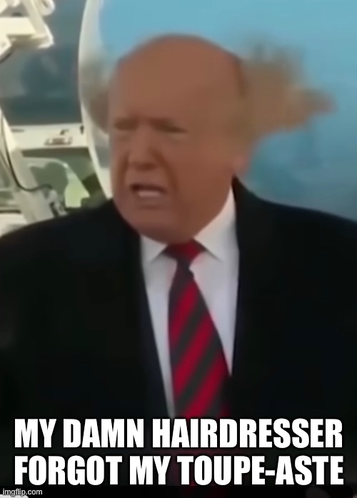 Trump toupe-asteless | MY DAMN HAIRDRESSER FORGOT MY TOUPE-ASTE | image tagged in trump s messy hair | made w/ Imgflip meme maker