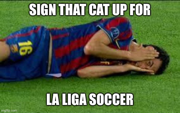 soccer flop | SIGN THAT CAT UP FOR LA LIGA SOCCER | image tagged in soccer flop | made w/ Imgflip meme maker