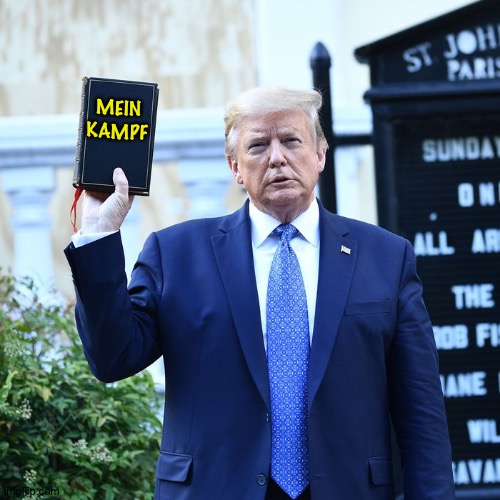 Trump Bible | MEIN
KAMPF | image tagged in trump bible | made w/ Imgflip meme maker