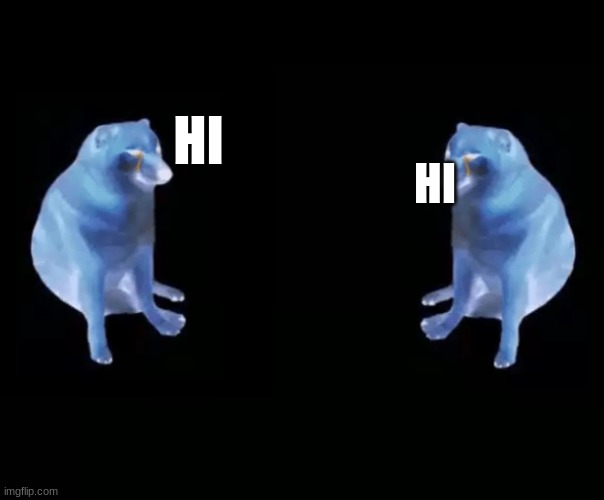 idk | HI; HI | image tagged in dual cheems | made w/ Imgflip meme maker