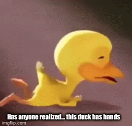 The duck… it’s got hands - Imgflip