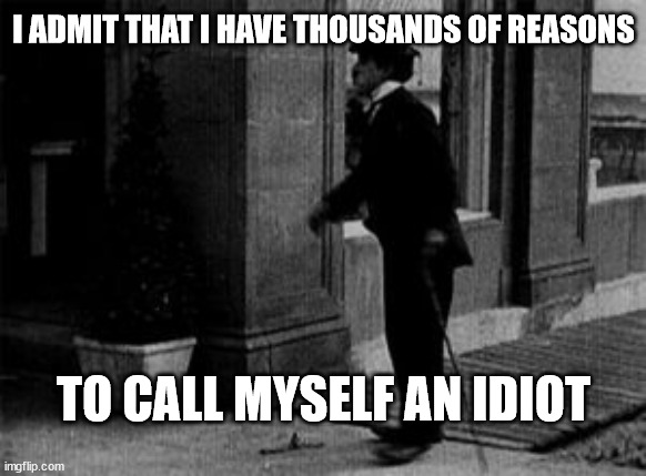 Let's not fool ourselves ;) | I ADMIT THAT I HAVE THOUSANDS OF REASONS; TO CALL MYSELF AN IDIOT | image tagged in funny,stupidity | made w/ Imgflip meme maker