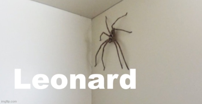 Leonard | image tagged in leonard | made w/ Imgflip meme maker