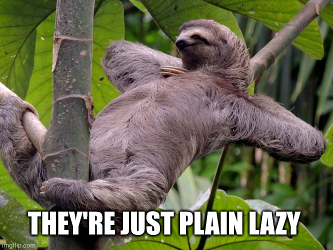 Lazy Sloth | THEY'RE JUST PLAIN LAZY | image tagged in lazy sloth | made w/ Imgflip meme maker