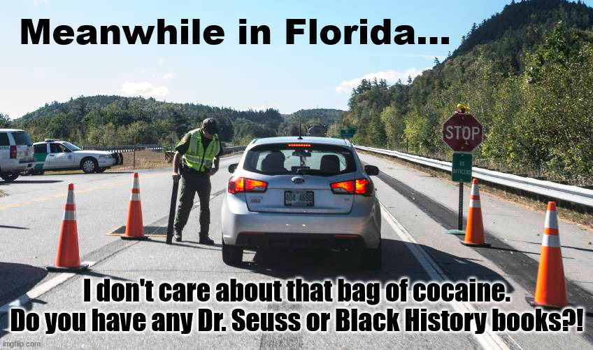 Florida Education DeSantis | Meanwhile in Florida... I don't care about that bag of cocaine.
Do you have any Dr. Seuss or Black History books?! | image tagged in florida,education,dr seuss,black history month,checkpoint,books | made w/ Imgflip meme maker