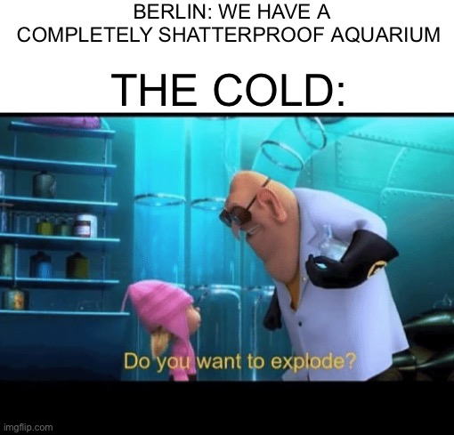 There was an aquarium explosion in Germany | BERLIN: WE HAVE A COMPLETELY SHATTERPROOF AQUARIUM; THE COLD: | image tagged in do you want to explode,germany | made w/ Imgflip meme maker
