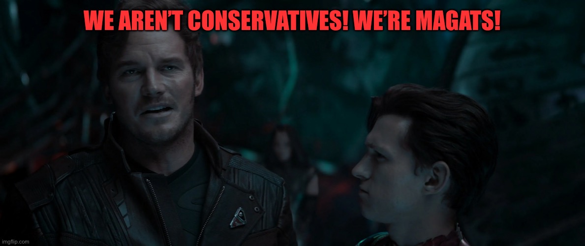 Star Lord and Spiderman peter parker and Peter quill 2 | WE AREN’T CONSERVATIVES! WE’RE MAGATS! | image tagged in star lord and spiderman peter parker and peter quill 2 | made w/ Imgflip meme maker