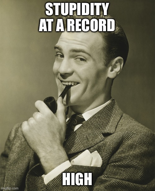 Smug | STUPIDITY AT A RECORD HIGH | image tagged in smug | made w/ Imgflip meme maker