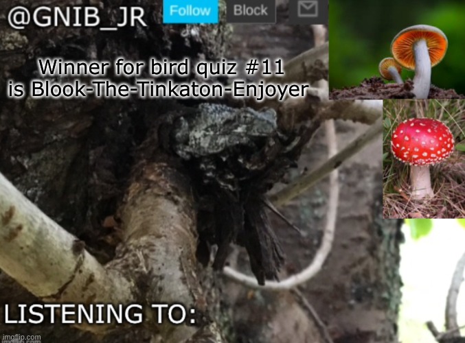 good job | Winner for bird quiz #11 is Blook-The-Tinkaton-Enjoyer | image tagged in gnib_jr's new temp | made w/ Imgflip meme maker