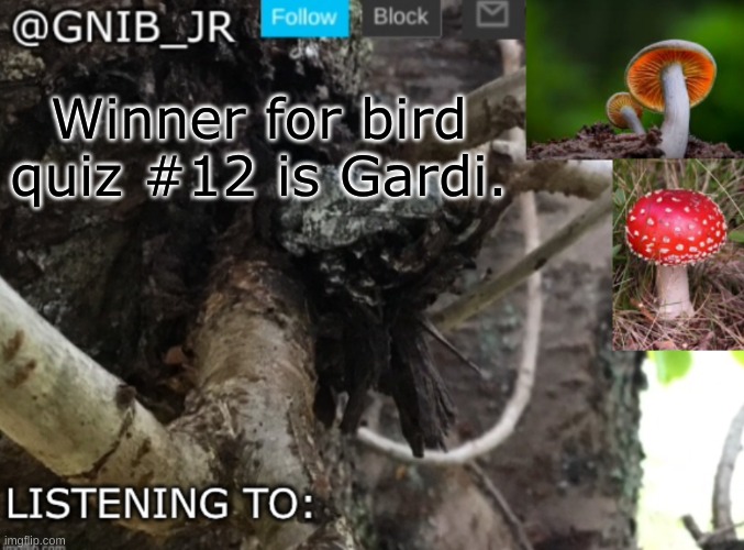Congrats | Winner for bird quiz #12 is Gardi. | image tagged in gnib_jr's new temp | made w/ Imgflip meme maker