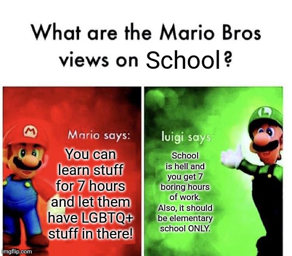 For real, though. | School; You can learn stuff for 7 hours and let them have LGBTQ+ stuff in there! School is hell and you get 7 boring hours of work. Also, it should be elementary school ONLY. | image tagged in mario bros views,school memes | made w/ Imgflip meme maker