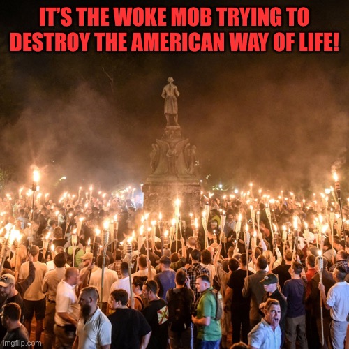 MAGA Morons Traitors Racists Antisemitic Trumpers | IT’S THE WOKE MOB TRYING TO DESTROY THE AMERICAN WAY OF LIFE! | image tagged in maga morons traitors racists antisemitic trumpers | made w/ Imgflip meme maker