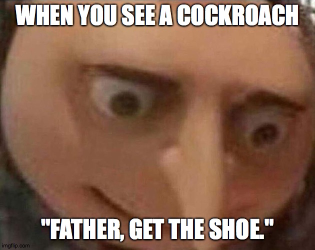 When you see a cockroach. | WHEN YOU SEE A COCKROACH; "FATHER, GET THE SHOE." | image tagged in gru meme | made w/ Imgflip meme maker