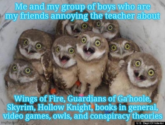 Amazed Owls | Me and my group of boys who are my friends annoying the teacher about; Wings of Fire, Guardians of Ga'hoole, Skyrim, Hollow Knight, books in general, video games, owls, and conspiracy theories | image tagged in amazed owls | made w/ Imgflip meme maker