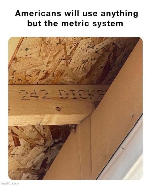 I wonder who measured it | image tagged in dicks | made w/ Imgflip meme maker