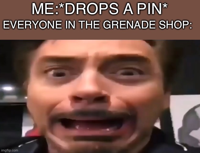 Oh no | ME:*DROPS A PIN*; EVERYONE IN THE GRENADE SHOP: | image tagged in robert downey jr screaming,memes,funny | made w/ Imgflip meme maker