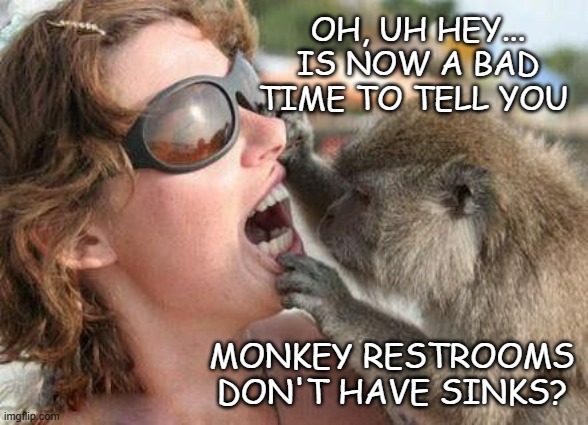 What could possibly go wrong? | OH, UH HEY... IS NOW A BAD TIME TO TELL YOU; MONKEY RESTROOMS DON'T HAVE SINKS? | image tagged in i see many cavities | made w/ Imgflip meme maker