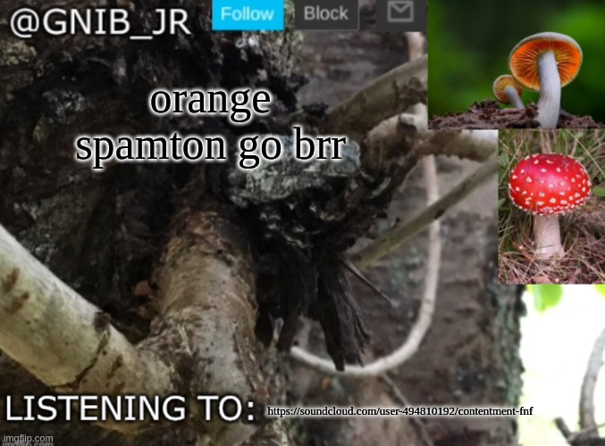 Gnib_Jr's new temp | orange spamton go brr; https://soundcloud.com/user-494810192/contentment-fnf | image tagged in gnib_jr's new temp | made w/ Imgflip meme maker