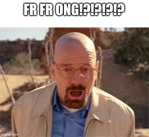 Walter White | FR FR ONG!?!?!?!? | image tagged in walter white | made w/ Imgflip meme maker
