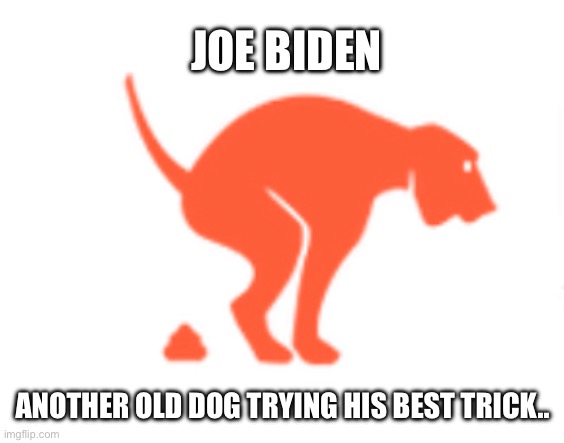 JOE BIDEN; ANOTHER OLD DOG TRYING HIS BEST TRICK.. | made w/ Imgflip meme maker